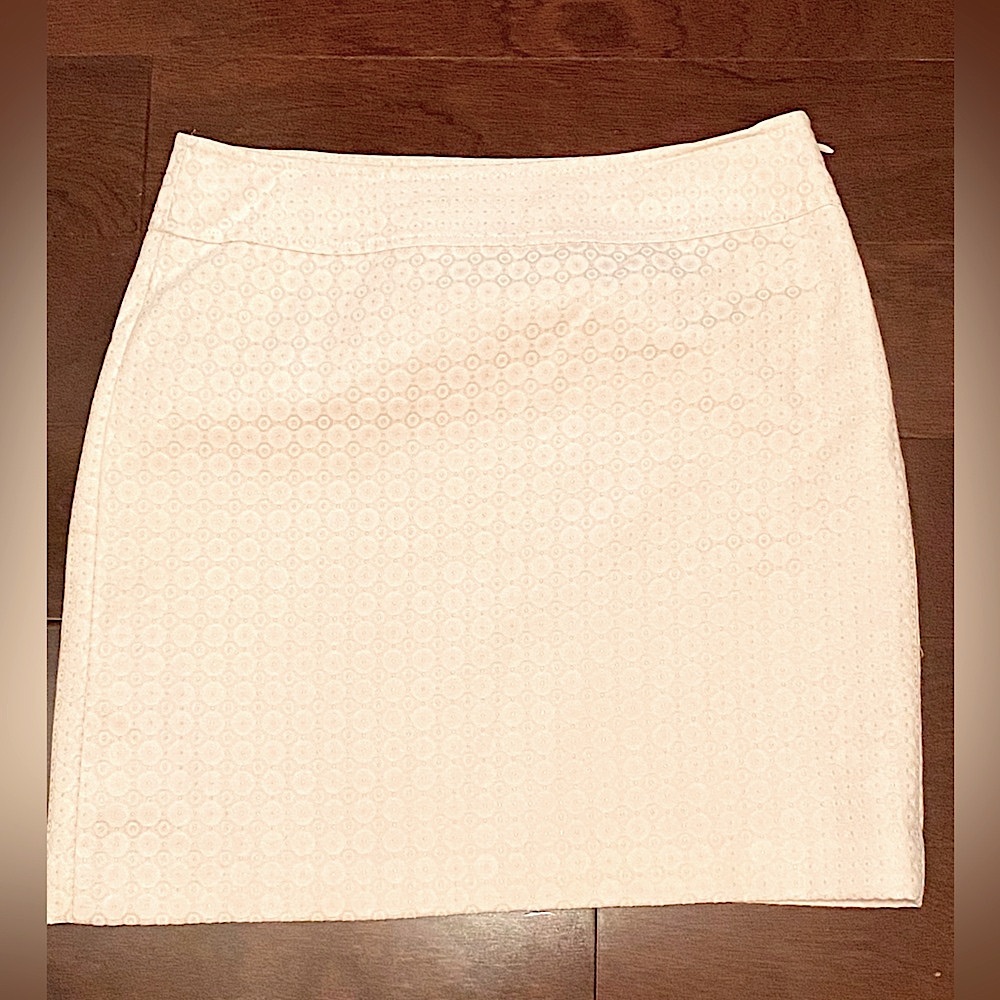 Loft lined skirt